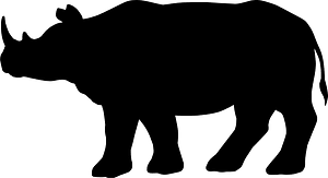 Indian rhinoceros