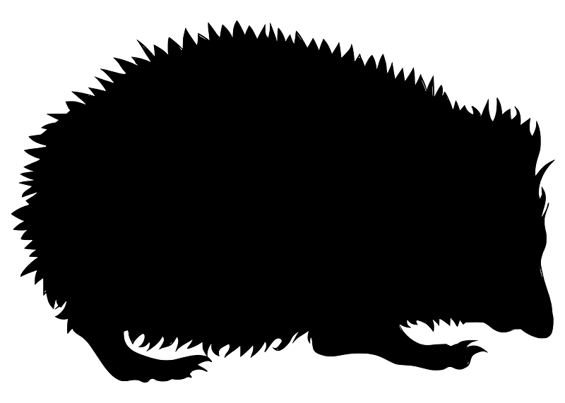 Hedgehog