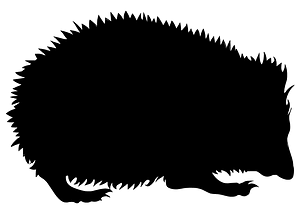 Hedgehog