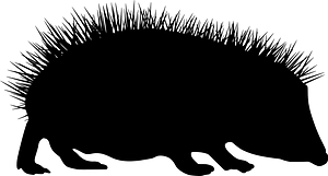 Hedgehog