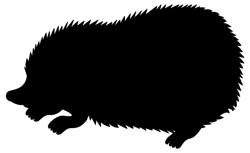 Hedgehog