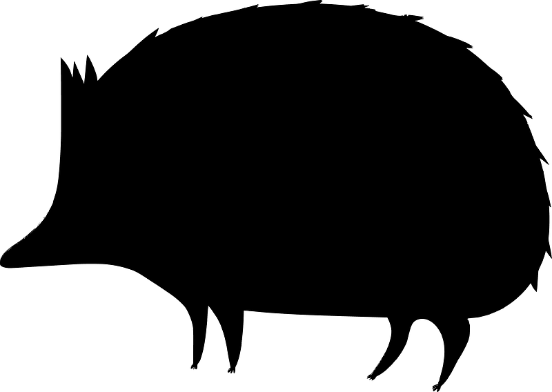 Hedgehog