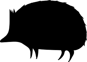 Hedgehog