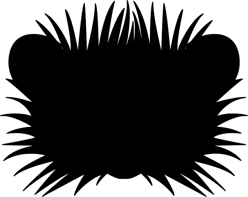 Hedgehog face - Free vector silhouettes on creazilla.com