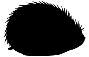 Hedgehog