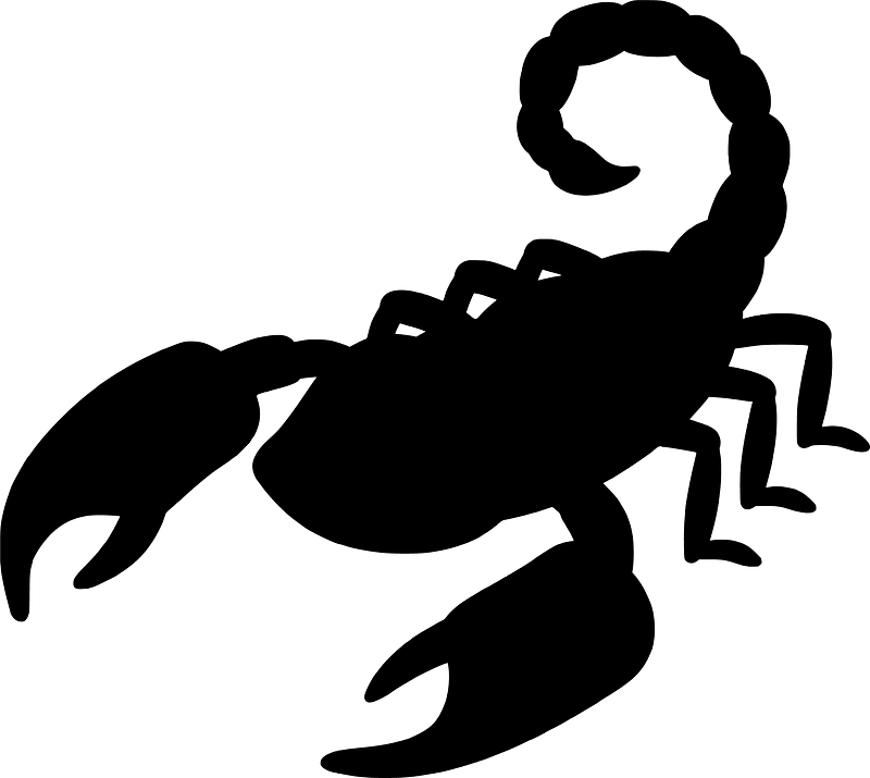 Scorpion