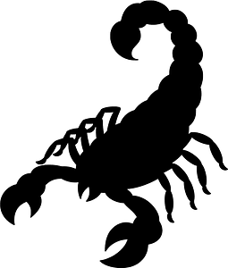Scorpion