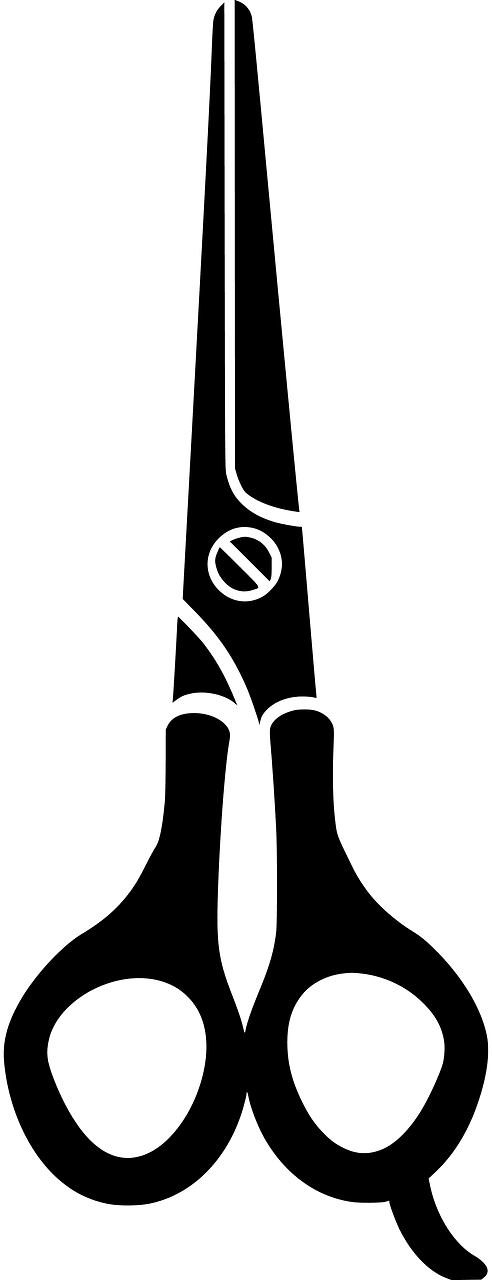 Scissors