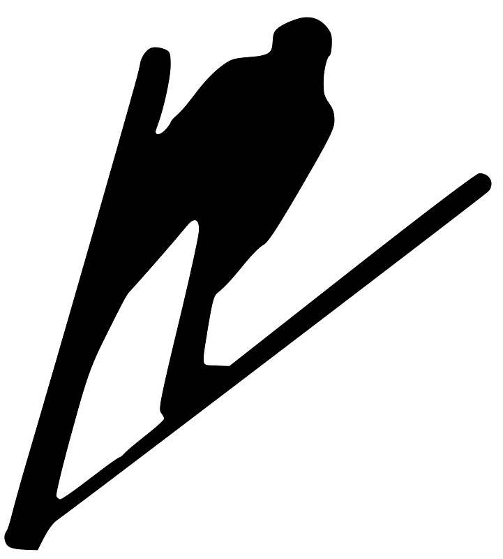 Skier