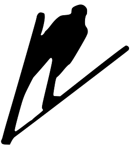 Skier