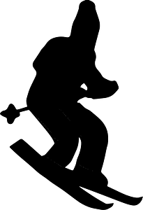 Skier