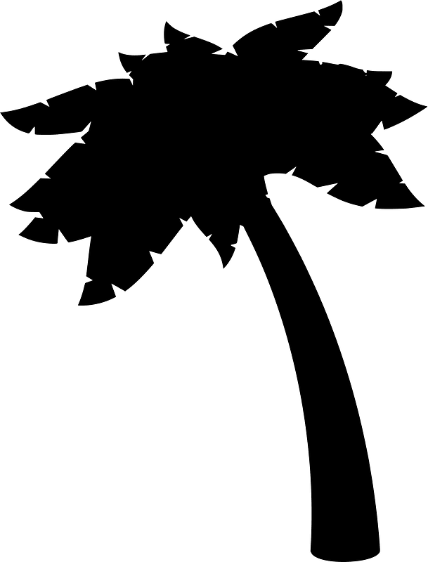 Palm