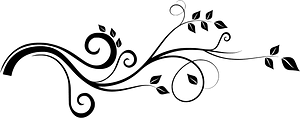 Vine