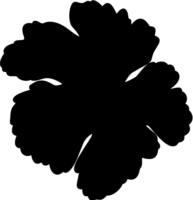 Vine