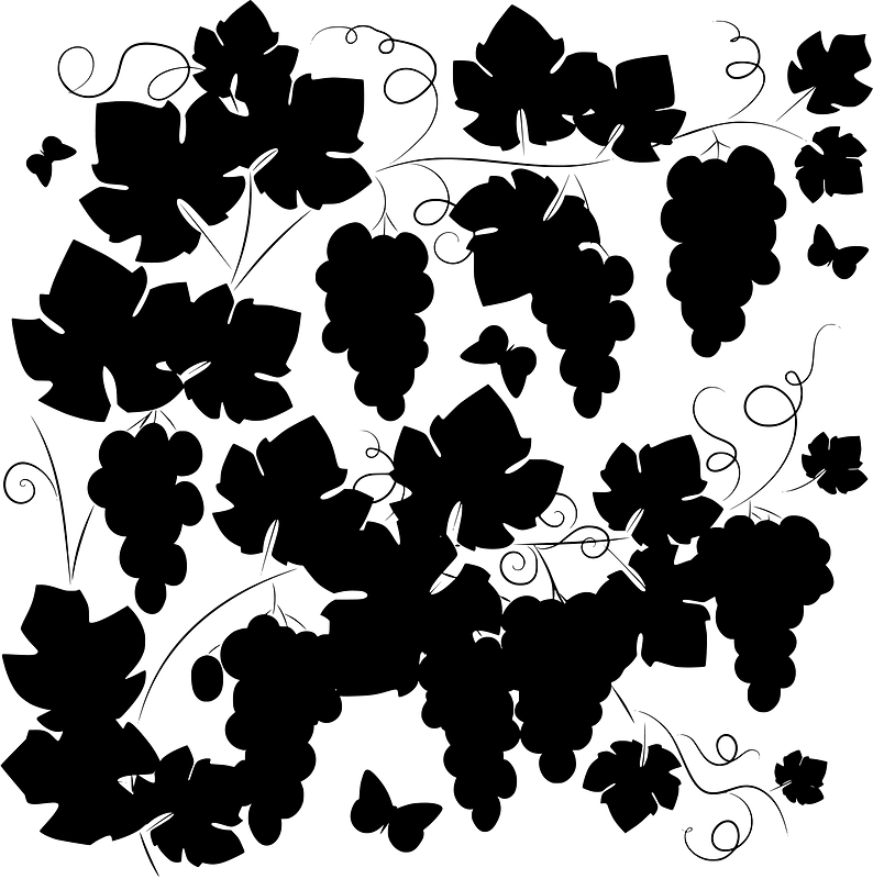 Grapevine