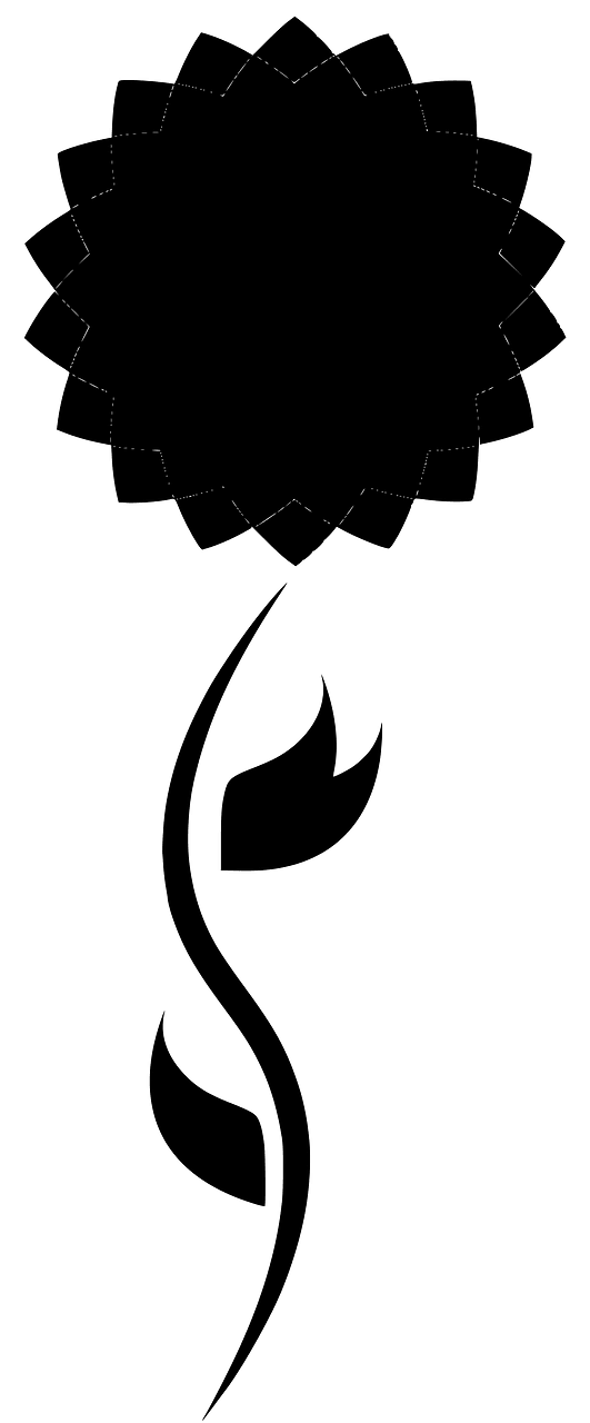 Chrysanthemum