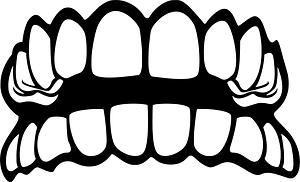 Teeth