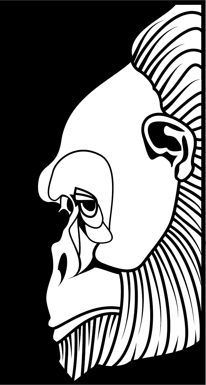 Gorilla