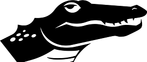 Crocodile head silhouette