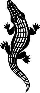 Crocodile