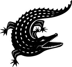 Alligator