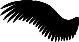 Wing