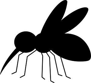 Mosquito