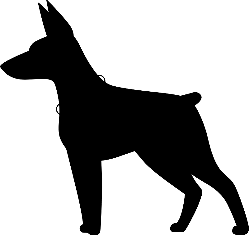 Doberman