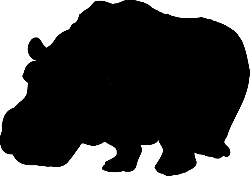Hippopotamus
