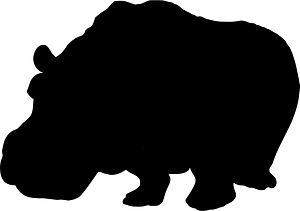 Kuda nil