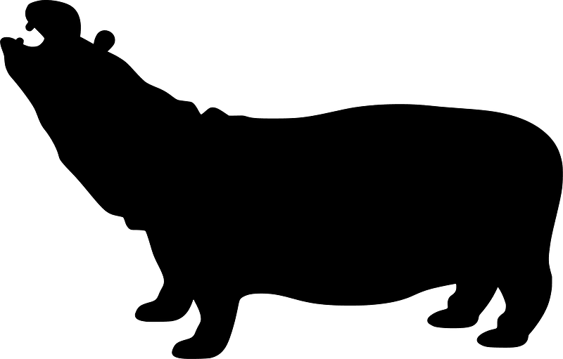 Hippopotamus