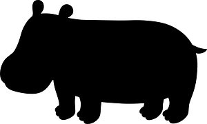 Kuda nil