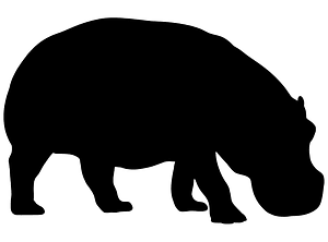 Kuda nil