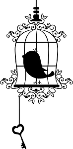 Birdcage with key