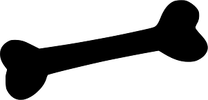 Bone
