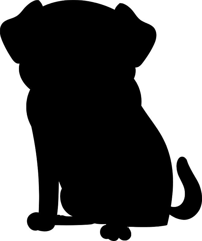 Pug