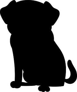 Pug