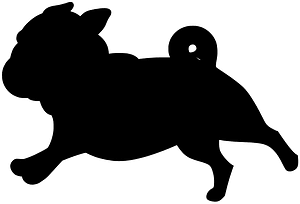 Pug