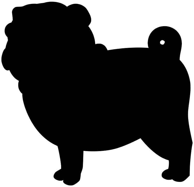 Pug