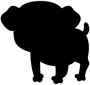 Pug