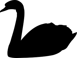 Swan