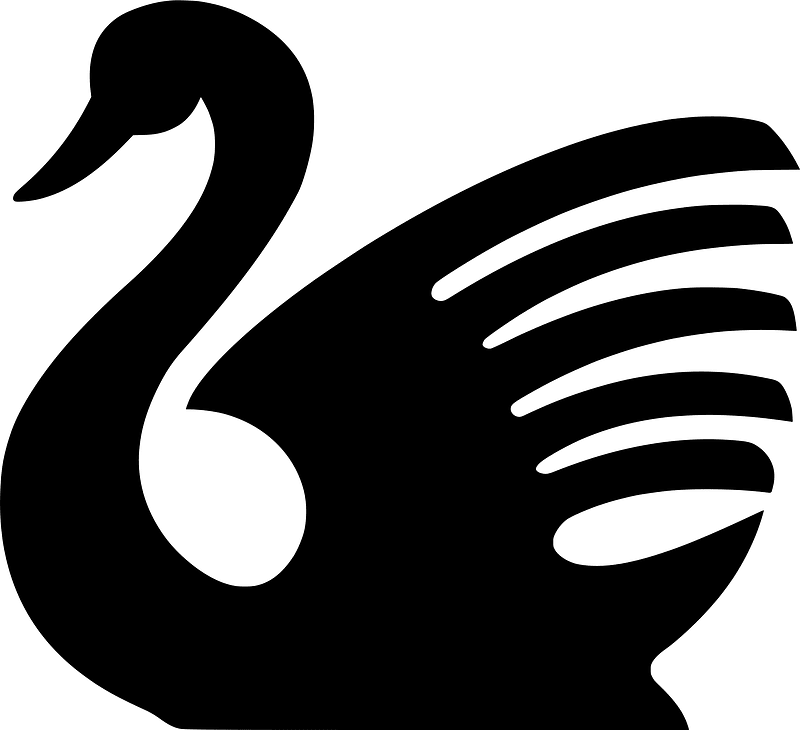 Swan