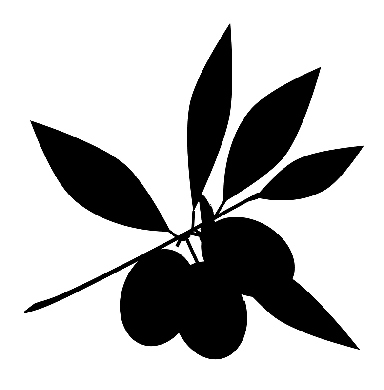 Olive Oil