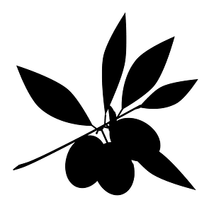 Olive Oil