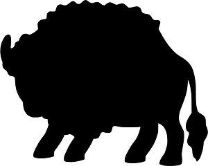 Bison