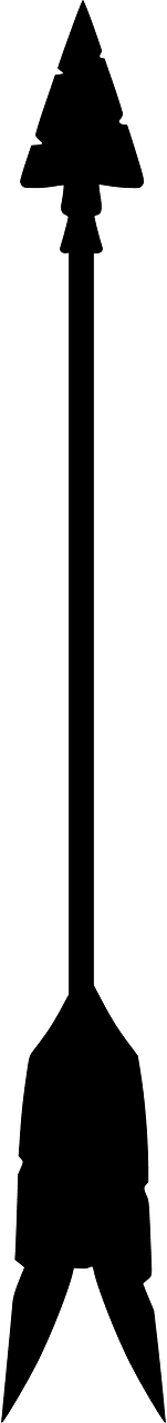 Indian arrowhead