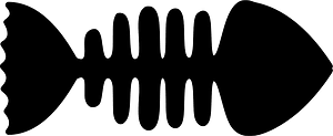Fish fossil