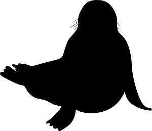 Seal