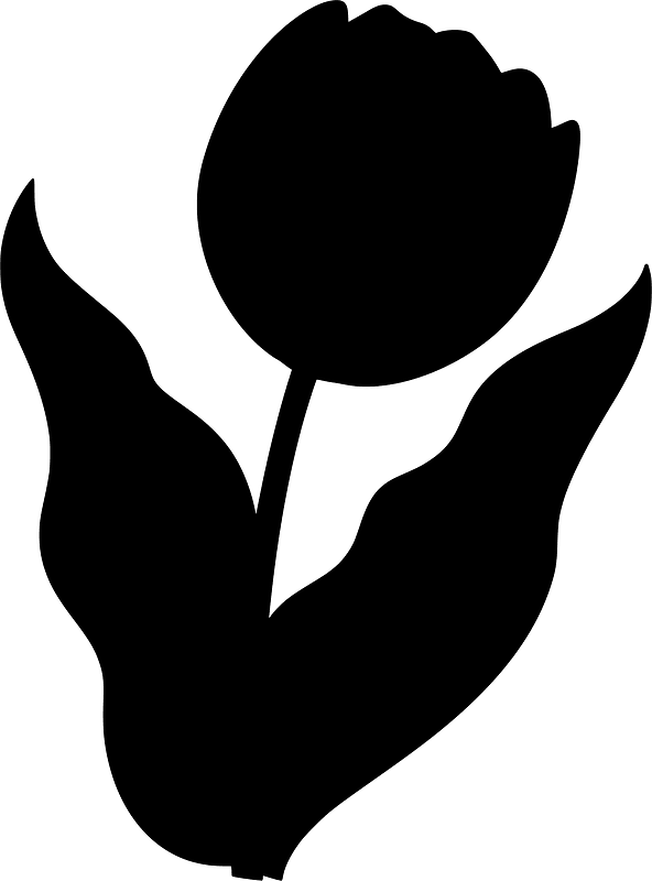 Tulip