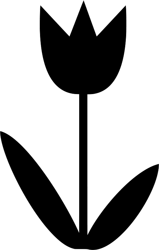 Tulip